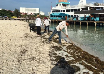 Playas de Quintana Roo pierden hasta 14 metros de arena