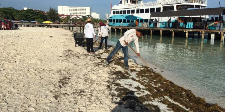 Playas de Quintana Roo pierden hasta 14 metros de arena
