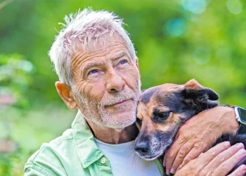 Envejecimiento de mascotas: cuidados en su mediana edad