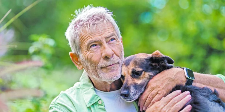 Envejecimiento de mascotas: cuidados en su mediana edad