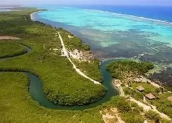 Decisión de la SICT de suspender el puente en Mahahual