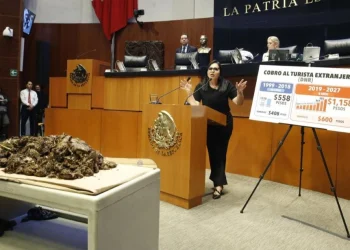 Mayuli Martínez exige recursos para el sargazo en el Senado