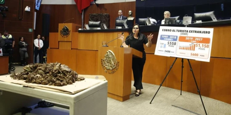 Mayuli Martínez exige recursos para el sargazo en el Senado
