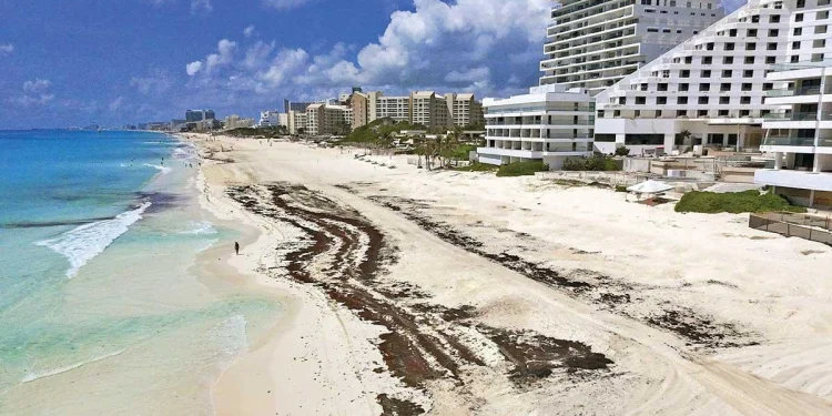 Homologan cobro por uso de playas en Quintana Roo