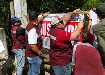 Clausuran desarrollos Tolteca y Azteca en la SM 106 vendian lotes por Facebook