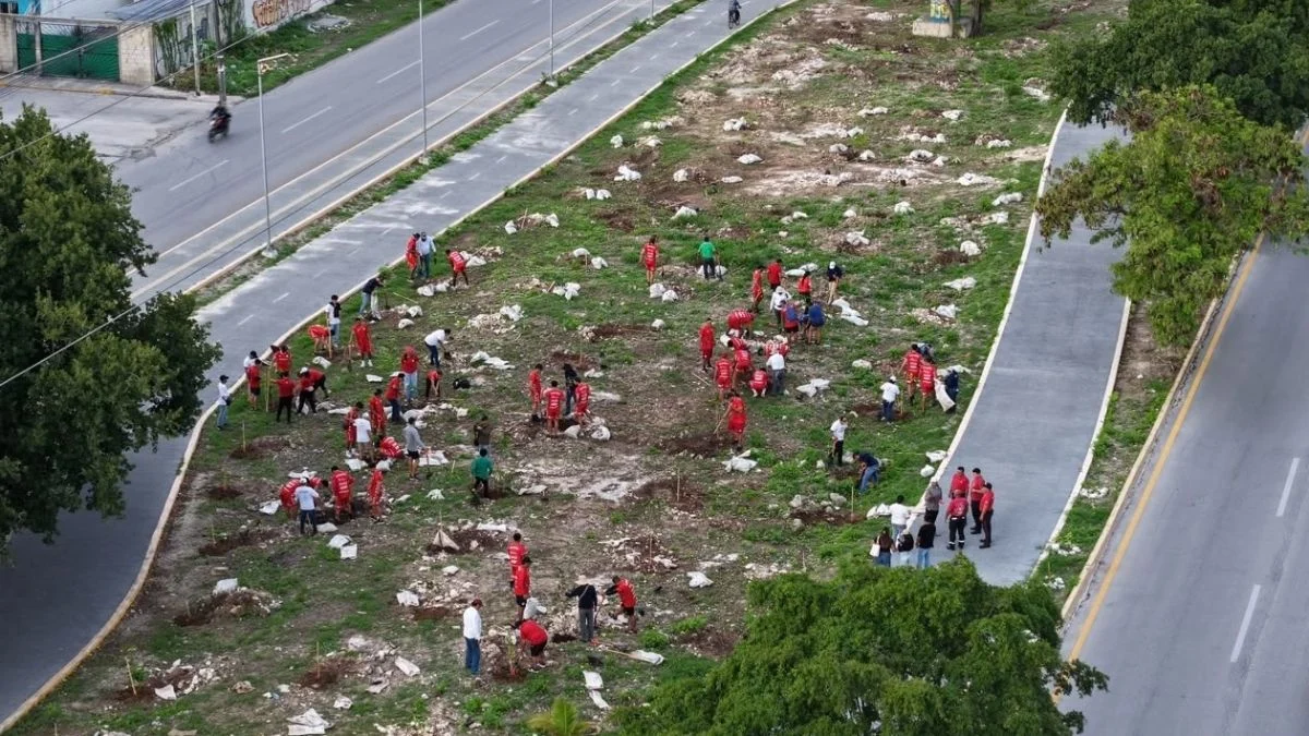 Trabajos de reforestación en Cancún con el equipo local de fútbol Pioneros