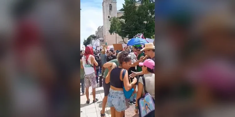 Agua de Yucatán y empresas israelíes: lo que piden quienes marcharon en Mérida