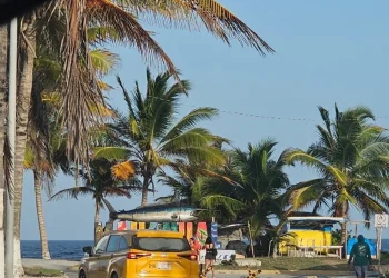 ¿Por qué Carnival deja Mahahual? Sedetur lo explica y no es lo que se pensaba