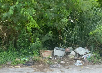 Lagunitas y Los Monos: terrenos convertidos en tiraderos y chatarra en la calle