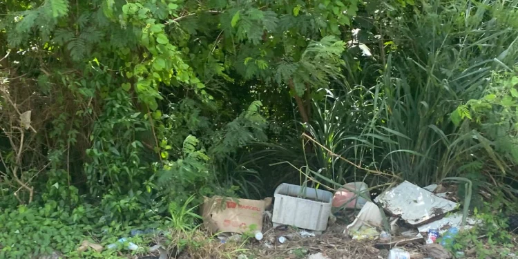 Lagunitas y Los Monos: terrenos convertidos en tiraderos y chatarra en la calle