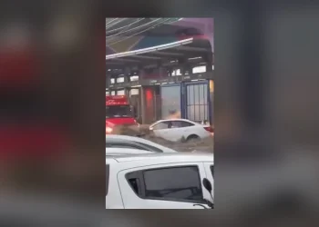 Si la corriente arrastra tu auto: qué hacer, la lección del rescate en Acapulco