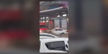 Si la corriente arrastra tu auto: qué hacer, la lección del rescate en Acapulco