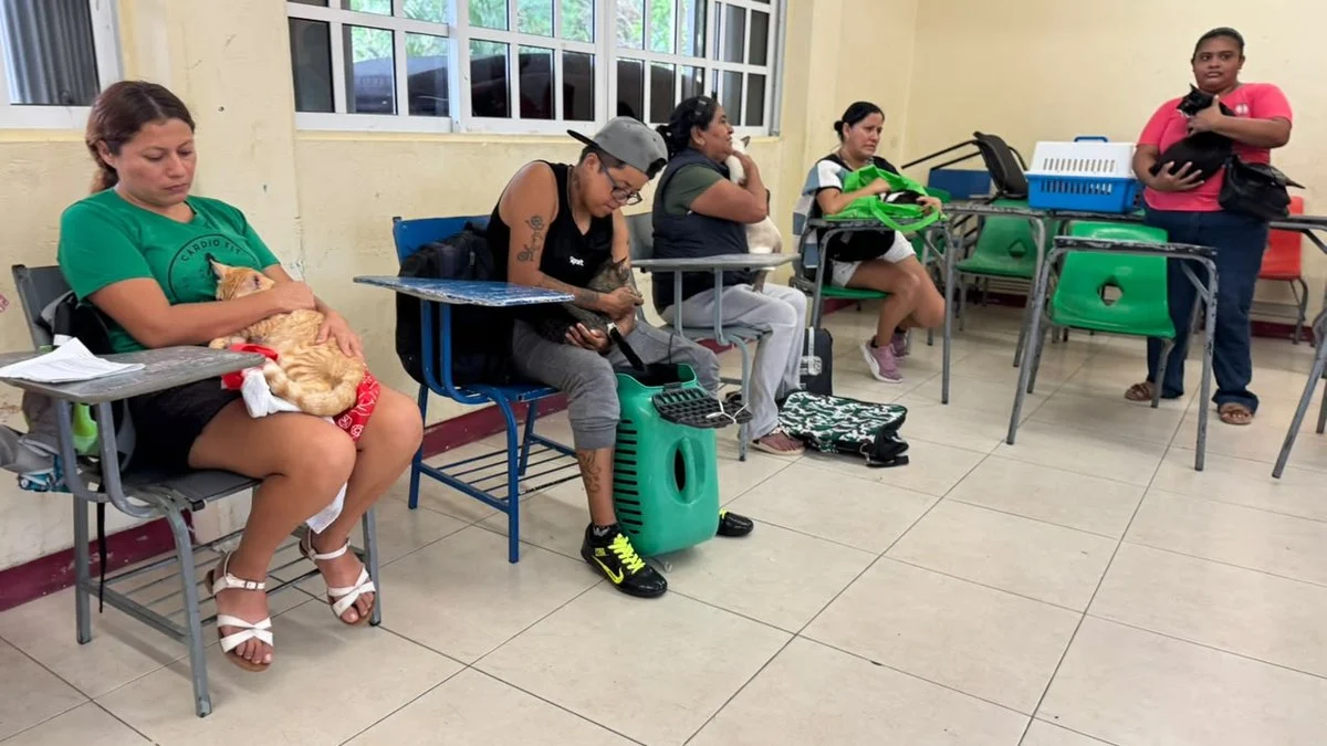 Personas esperan con sus gatos el turno para la esterilización en Cancún