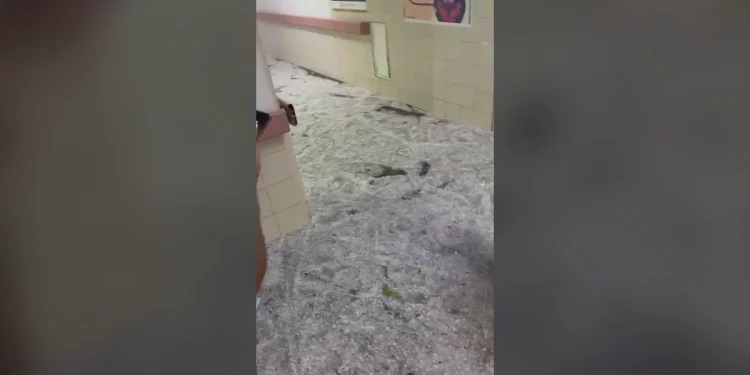 Si tu hospital del IMSS tiene una emergencia, ¿qué pasa con tu cita o cirugía?
