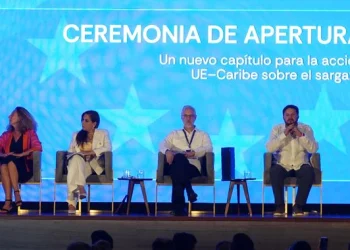 Inversiones para transformar el sargazo en una cadena de valor