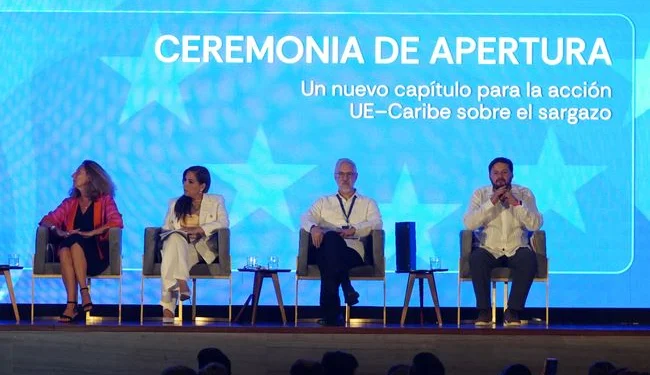 Inversiones para transformar el sargazo en una cadena de valor