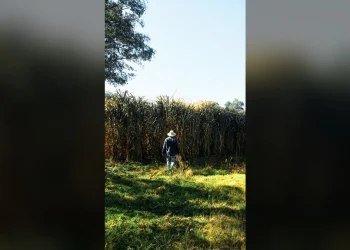 Si un familiar desaparece: qué hacer desde la primera hora