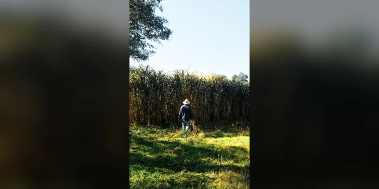 Si un familiar desaparece: qué hacer desde la primera hora