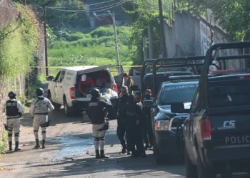 Hallan siete cuerpos con huellas de violencia en Morelos