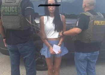 Inés Gómez Mont es detenida en Miami
