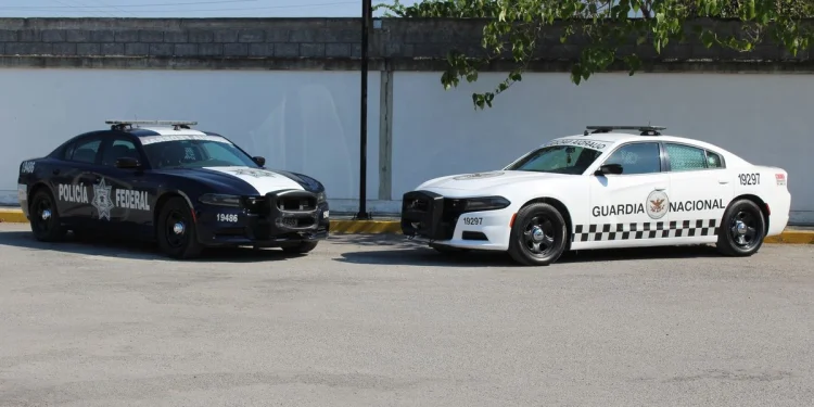 ¿Qué es el Operativo Enjambre? Ahora cae un jefe policiaco en Tabasco