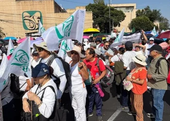 Rechazo salarial en el IMSS: ¿habrá paro y qué pasa con tus consultas?