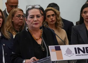 Renuncia de Taddei al INE: así se elegirá a quien ocupe la presidencia