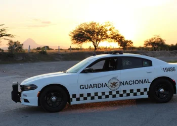 ¿Ves un vehículo sospechoso? Qué hacer y cómo denunciar sin arriesgarte